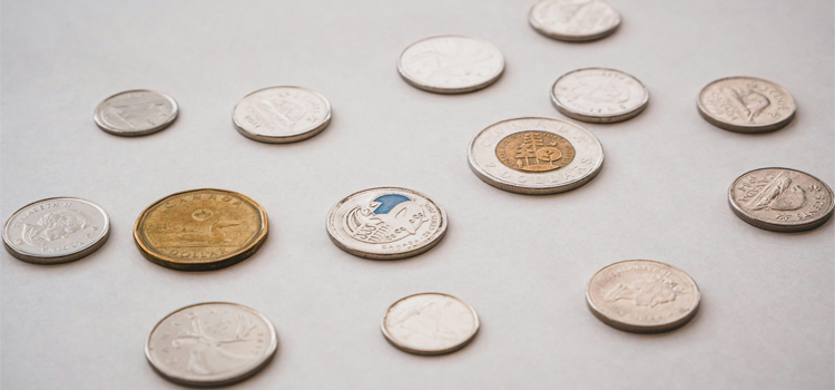 https://www.luckycasefactory.com/coin-case/