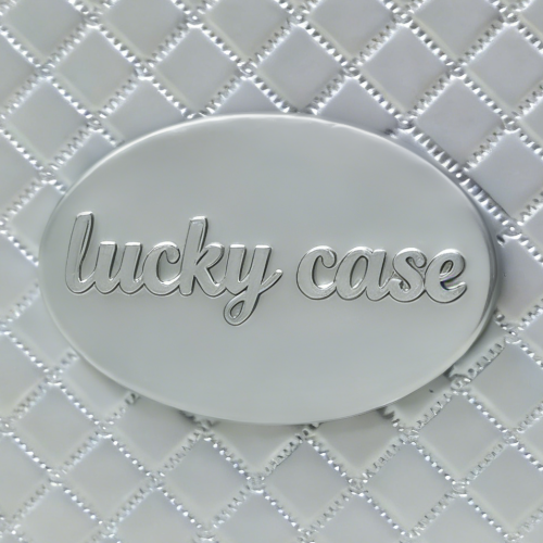 https://www.luckycasefactory.com/blog/how-to-choose-the-right-custom-equipment-case-protection-branding-logo-options-compared/