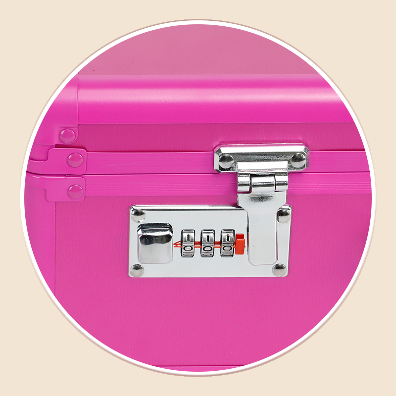 https://www.luckycasefactory.com/rose-red-aluminum-storage-case-with-eva-foam-for-e-cigarette-product/