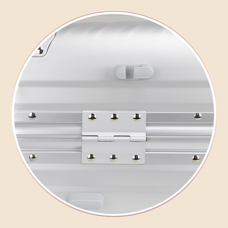 https://www.luckycasefactory.com/premium-silver-magnesium-aluminum-alloy-trolley-case-product/
