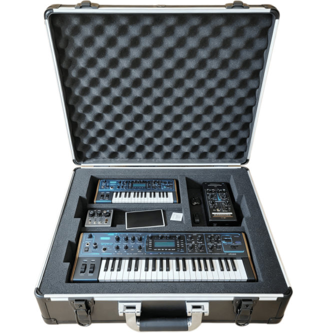 https://www.luckycasefactory.com/blog/why-shock-protection-matters-in-aluminum-instrument-cases/